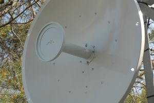 NSC_0007