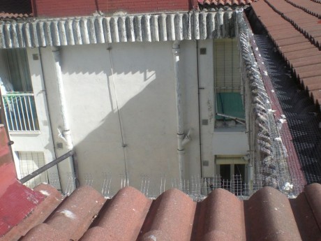 Instalación de tejado antipalomas